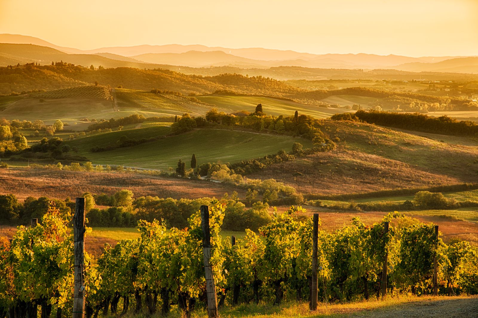Truffle & Brunello Weekend from Florence: San Miniato & Montalcino by Train — Tuscan Winery and Vineyards at sunset