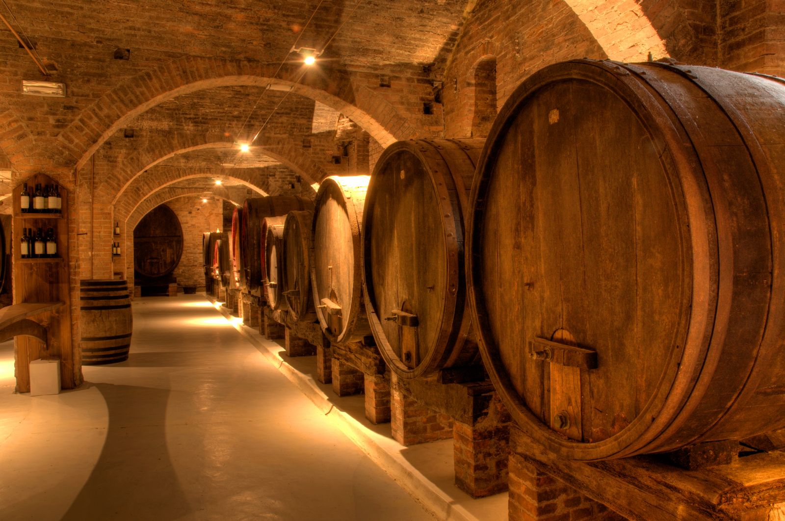 Truffle & Brunello Weekend from Florence: San Miniato & Montalcino by Train — Tuscan Winery Cellar
